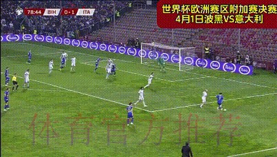 实时掌握世界杯即时比分动态